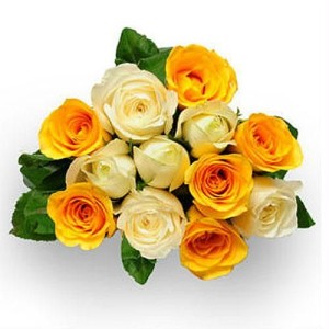 flower_8._a-bunch-of-yellow-n-white-roses-flower