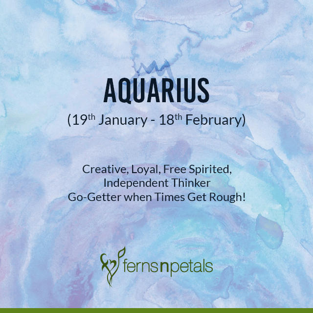 16 Perfect Birthday Gifts For The Aquarius In Your Life | HuffPost Life