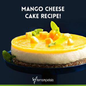 Unique Recipe of Mango Cheesecake - Ferns N Petals