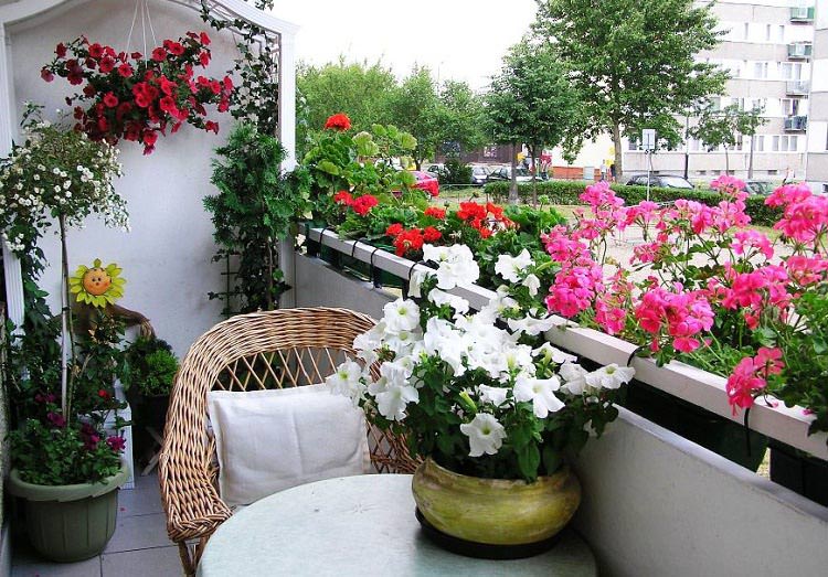 Balcony with Plants