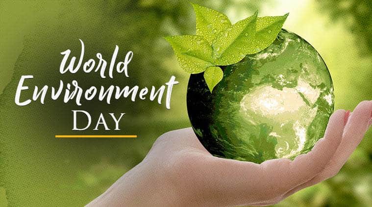 World Environment Day: Why Should You Care About the ...