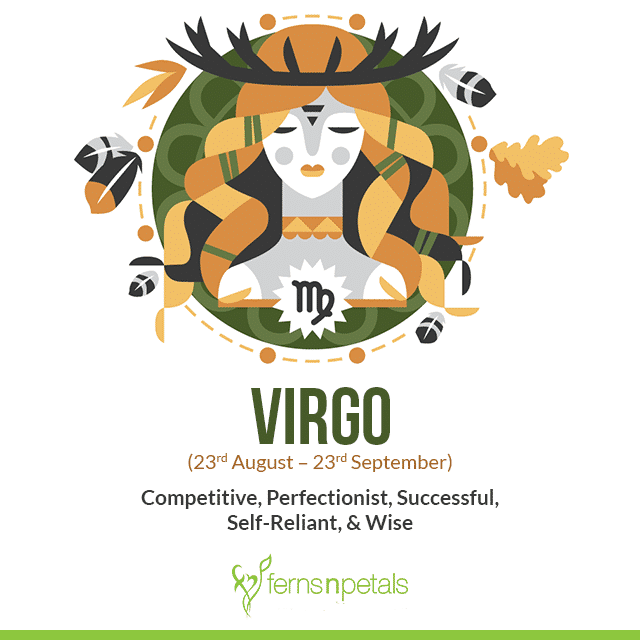 Why Virgo is the Best Sign to be Born Under? - Ferns N Petals