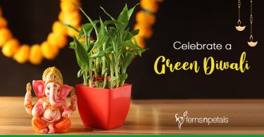 Celebrate Green Diwlai