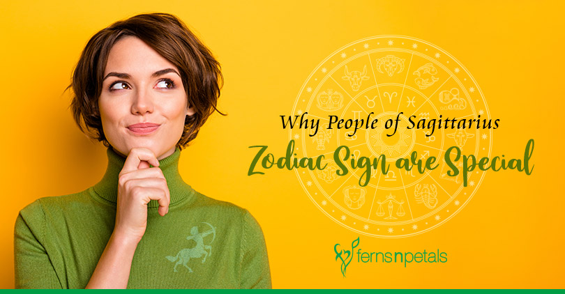 Why People Of Sagittarius Zodiac Sign Are So Special Ferns N Petals