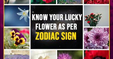 Zodiac Sign Flower