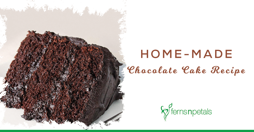 Classic Homemade Chocolate Cake Recipe - Ferns N Petals