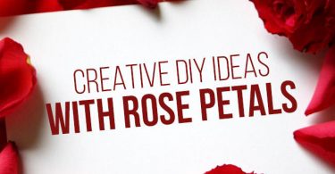 Creative DIY Ideas
