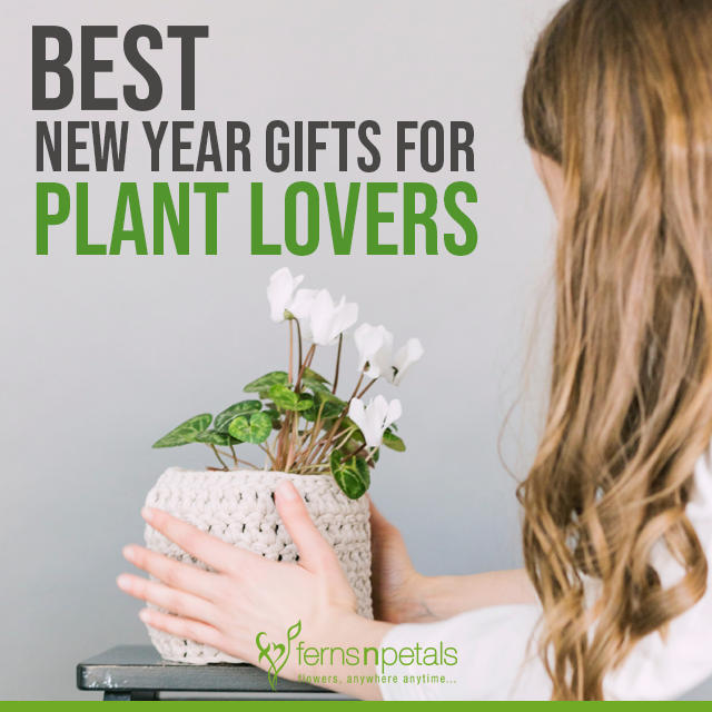New Year Gifts For Plant Lovers