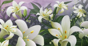 Lilies facts