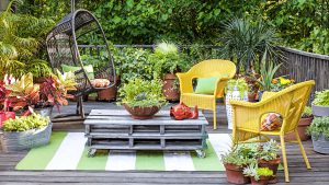 Use of Space in Terrace Gardening