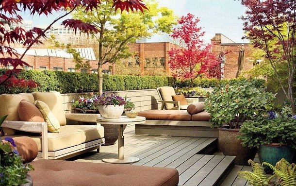 5 Valuable Tips To Remember For Terrace Gardening | FNP