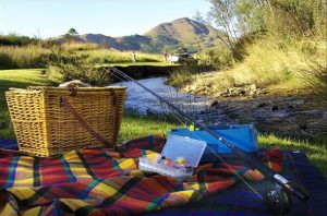 Fishing and Picnic