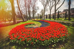 The Top 5 Flower Festivals Held Across The World - Ferns N Petals