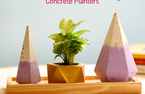 Environment Friendly Concrete Planters