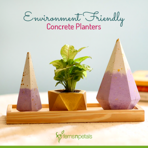 Environment Friendly Concrete Planters