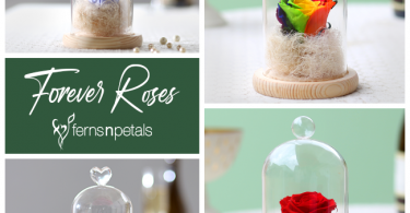 Forever Roses