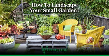 Small Garden Landscaping Ideas