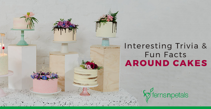 Interesting Trivia Fun Facts Around Cakes Ferns N Petals