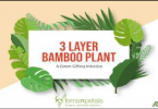 Importance of 3 Layer Lucky Bamboo Plants