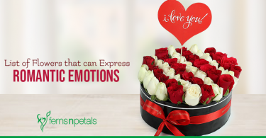 Flowers That Can Express Romantic Emotions