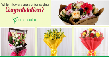 best flowers to say congratulations