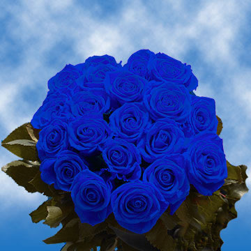 Beautiful blue deals flowers