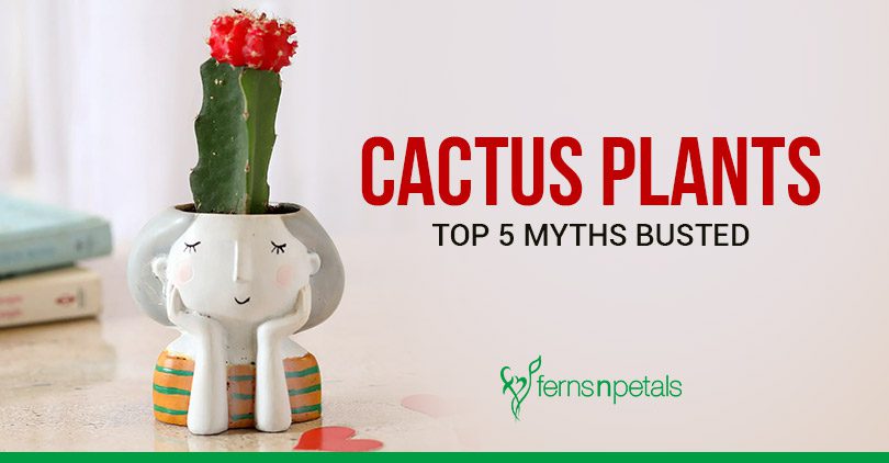 Cactus Myths