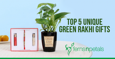 Rakhi Green Gifts