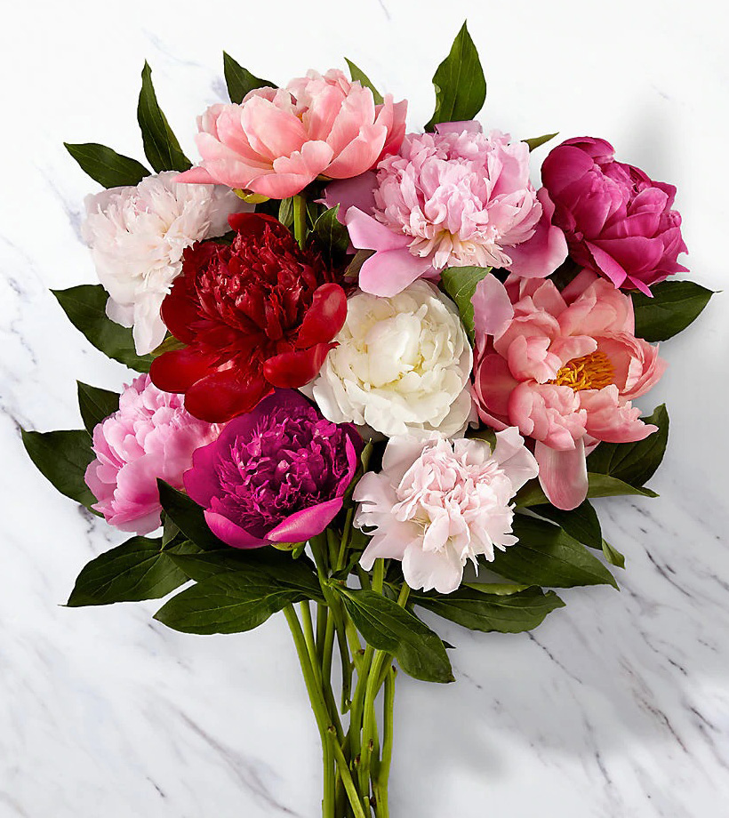 11 Most Romantic Flowers, Blog