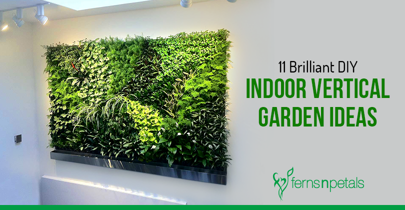 11 Brilliant Diy Indoor Vertical Garden Ideas Ferns N Petals