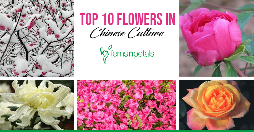 Top 10 flowers in Chinese Culture