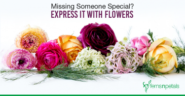 flowers that say I Miss You