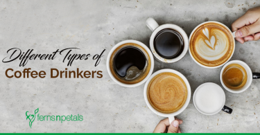 Different Types of Coffee Drinkers