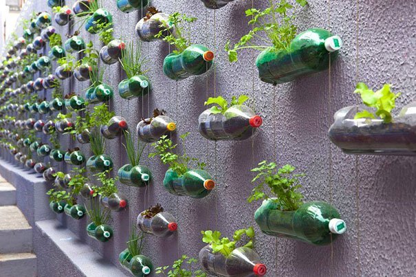 bottled vertical garden