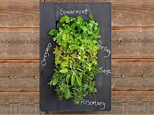 Chalkboard Planter