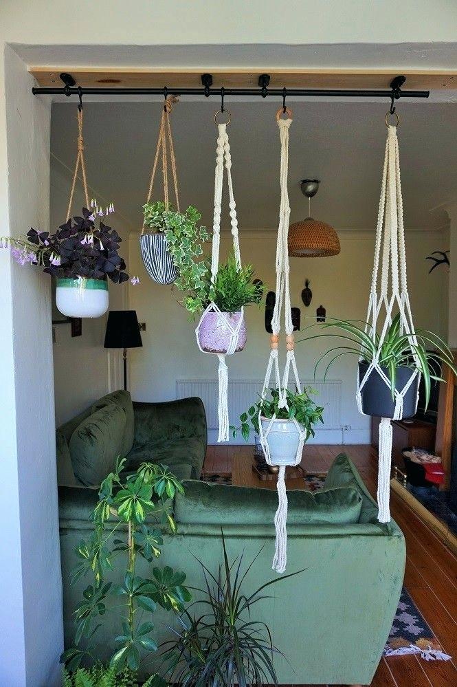 hanging planter