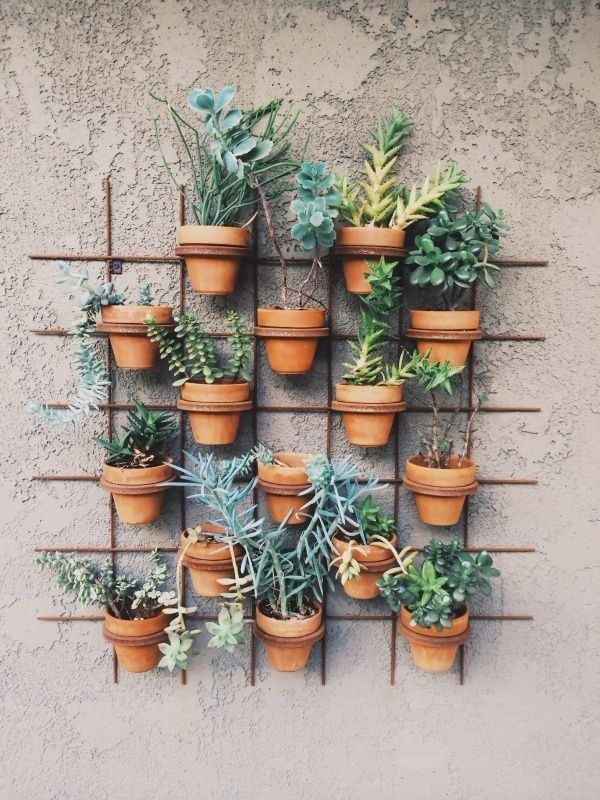 Iron Grid Pot Planter