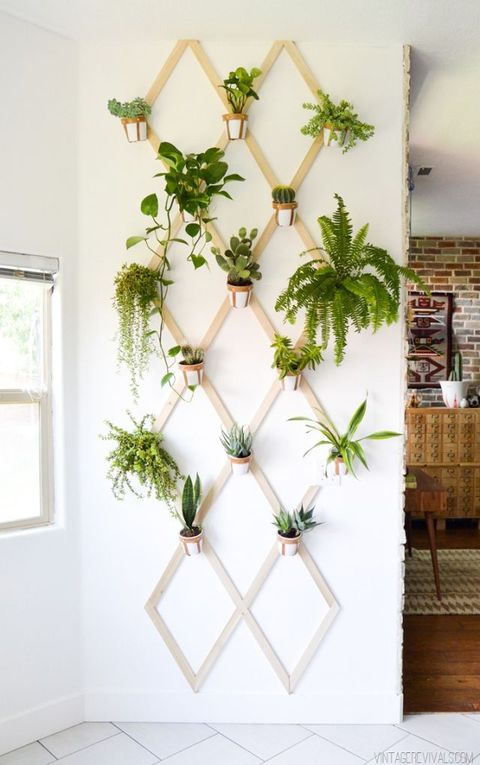 how to make an indoor wall garden