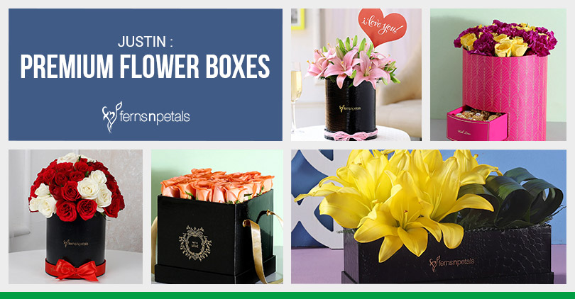 Newly Launched Premium Flower Boxes - Ferns N Petals