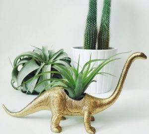 Quirky Planters
