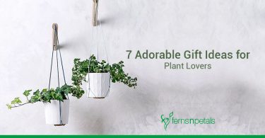 7 adorable gift ideas for plant lovers