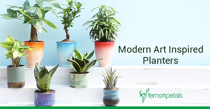 modern artistic planters