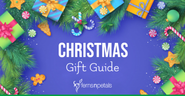 Christmas-Gift-Ideas-under-1500