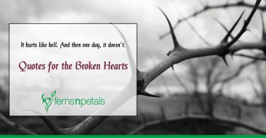 Love Quotes for the Broken Hearts