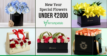 New Year Flowers under Rs. 2000