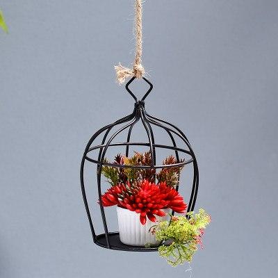 cage decoration of succulents