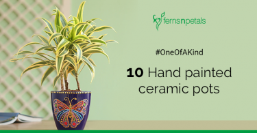 10 one of a kind ceramic planters