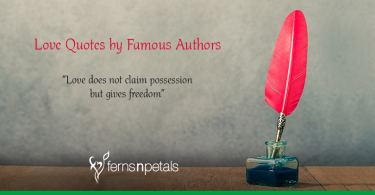 love quotes by famous authors