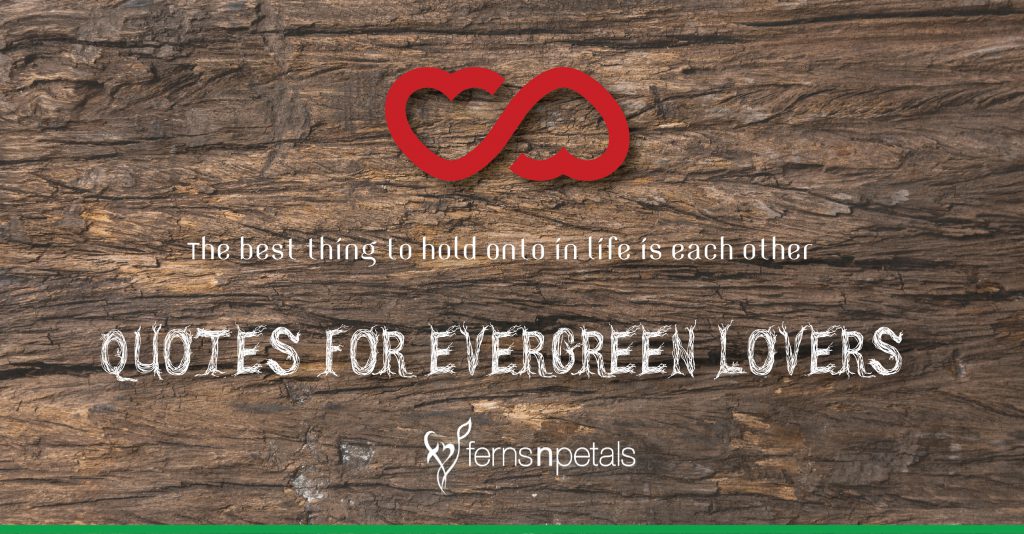 Quotes for the Evergreen Lovers Ferns N Petals
