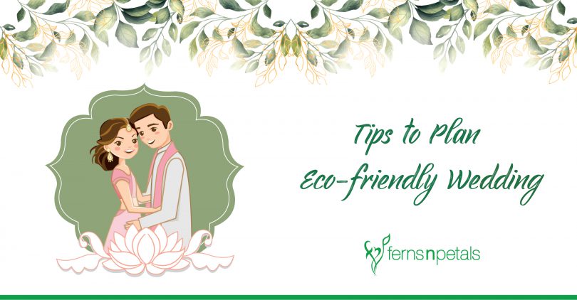 tips to plan eco friendly wedding-